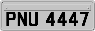 PNU4447