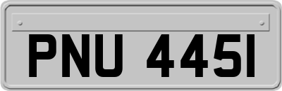 PNU4451