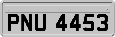 PNU4453