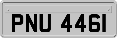 PNU4461