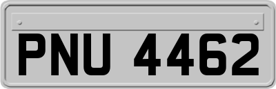 PNU4462