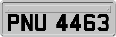 PNU4463