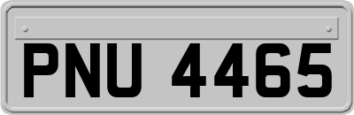 PNU4465