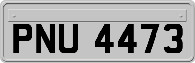 PNU4473