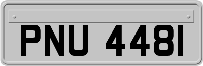 PNU4481