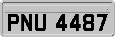 PNU4487