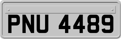 PNU4489