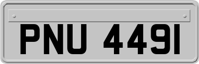 PNU4491