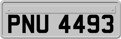 PNU4493