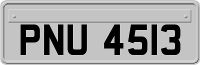 PNU4513