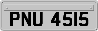 PNU4515