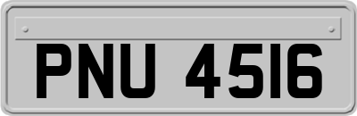 PNU4516