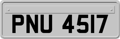 PNU4517