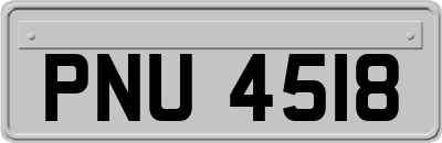 PNU4518