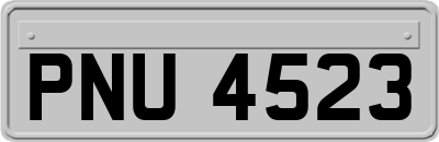 PNU4523