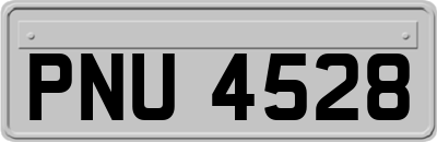 PNU4528