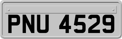 PNU4529