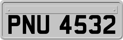 PNU4532