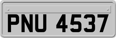 PNU4537