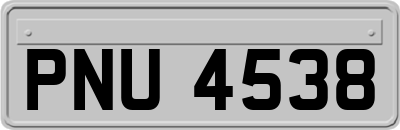 PNU4538