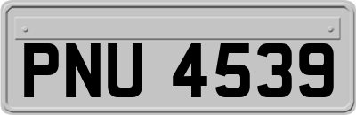 PNU4539