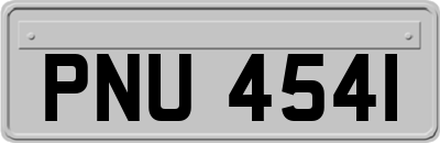 PNU4541