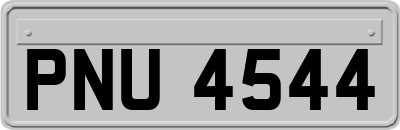 PNU4544