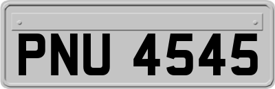 PNU4545
