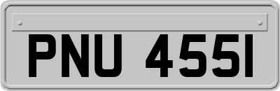 PNU4551