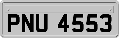 PNU4553