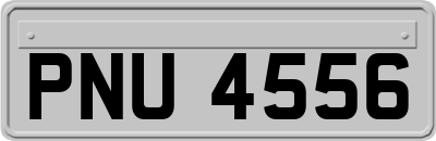 PNU4556