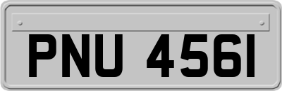PNU4561