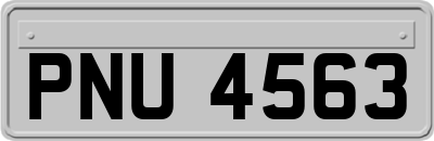 PNU4563