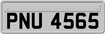 PNU4565