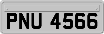 PNU4566
