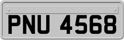 PNU4568