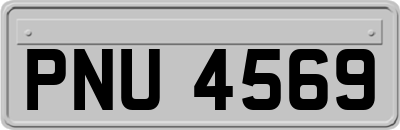 PNU4569