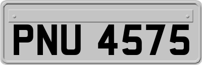 PNU4575