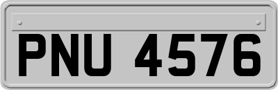 PNU4576