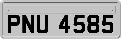 PNU4585
