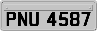PNU4587