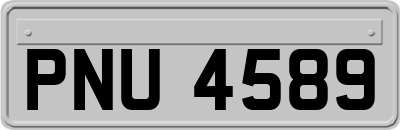 PNU4589