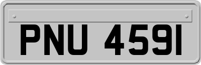 PNU4591