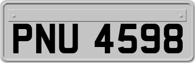 PNU4598