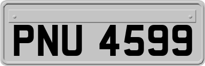 PNU4599