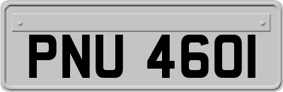 PNU4601
