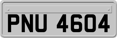 PNU4604