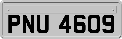 PNU4609