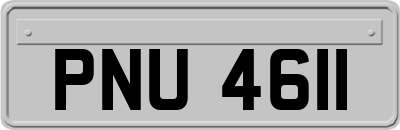 PNU4611