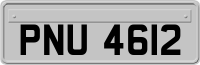 PNU4612